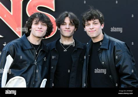 sturniolo triplets nick|sturniolo triplets official website.